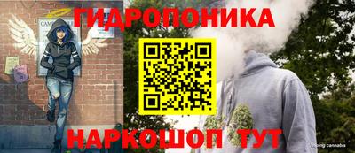 гидропоника Лесосибирск