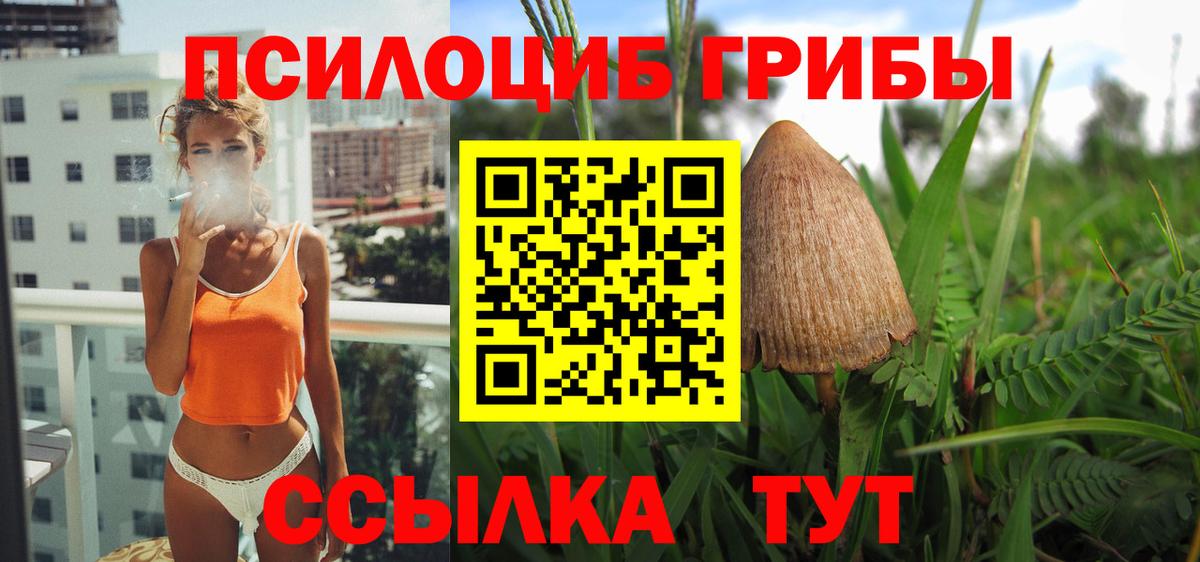 Галлюциногенные грибы прущие грибы  Вход с VPN  продажа наркотиков  Каменск-Шахтинский 