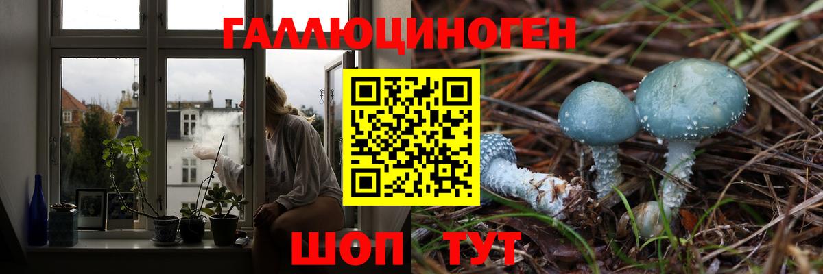 Псилоцибиновые грибы GOLDEN TEACHER Каменск-Шахтинский